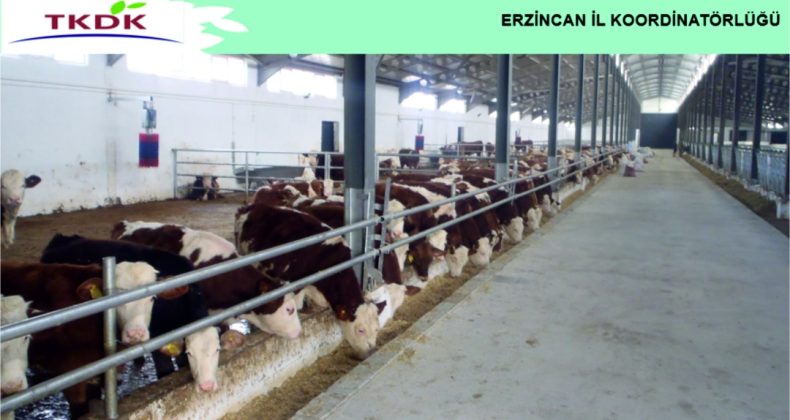 Erzincan’a büyük hibe