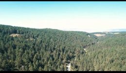 Erzincan’da Ormanlara Girmek Yasaklanacak