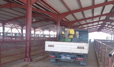 Canlı Hayvan Pazarlarında Sağlık İçin Önlem Zamanı