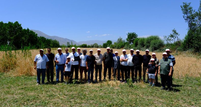 Mahmutlu Köyü’nde Ümranhanım-2 Tritikale Tanıtıldı