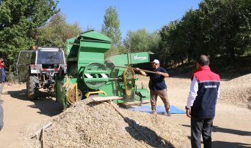 Erzincan’da Kuru Fasulye Harmanı Başladı