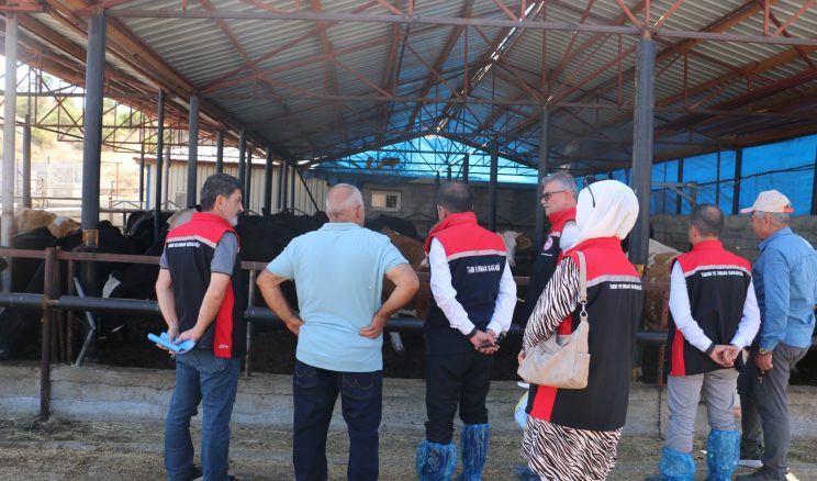 Erzincanlı Yetiştiriciler İlk Hayvanlarını Teslim Aldı