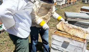 Refahiye Arıcılığını Geliştirmek İçin Adım Atıldı