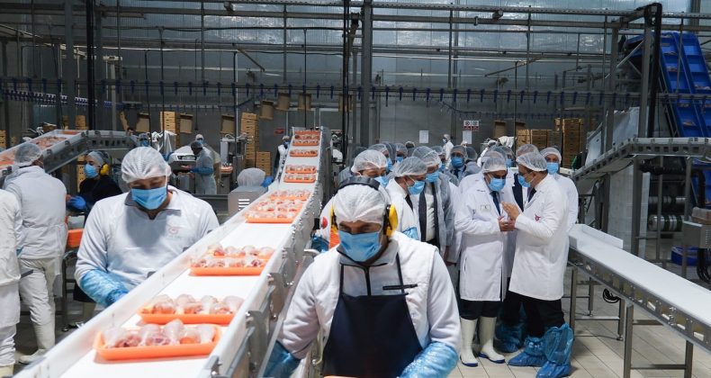 Bakan Kacır, Erzincan Tavuk Kombinesi’nde Üretimi İnceledi