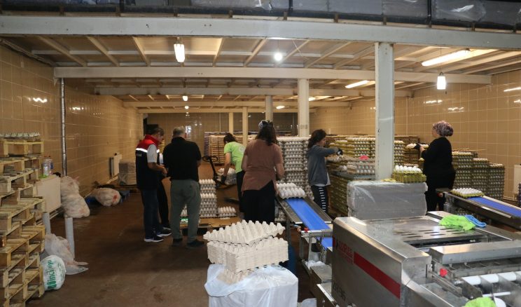 Erzincan Yaylabaşı’nda 200 Bin Tavukluk Dev Yumurta Tesisi