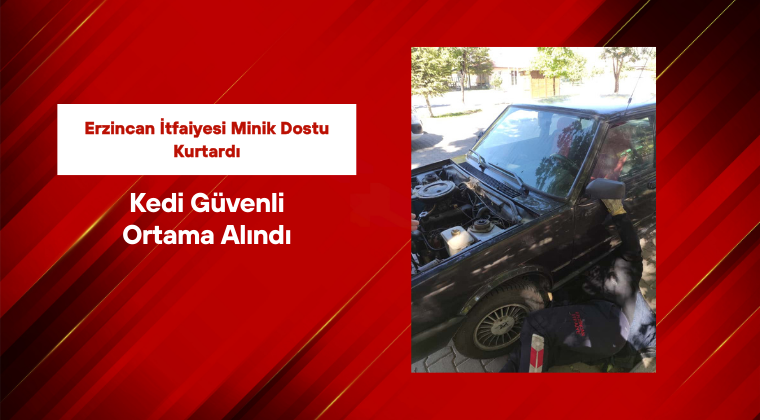 Erzincan İtfaiyesi Minik Dostu Kurtardı