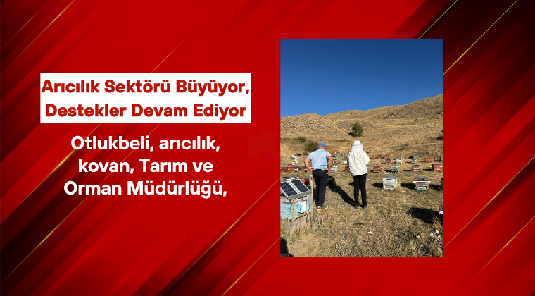 Otlukbeli’nde Kovan Sayımıyla Arıcılık Kayıt Altında