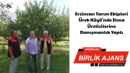 Erzincan Tarım Ekipleri Ürek Köyü’nde Elma Üreticilerine Danışmanlık Yaptı