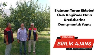 Erzincan Tarım Ekipleri Ürek Köyü’nde Elma Üreticilerine Danışmanlık Yaptı