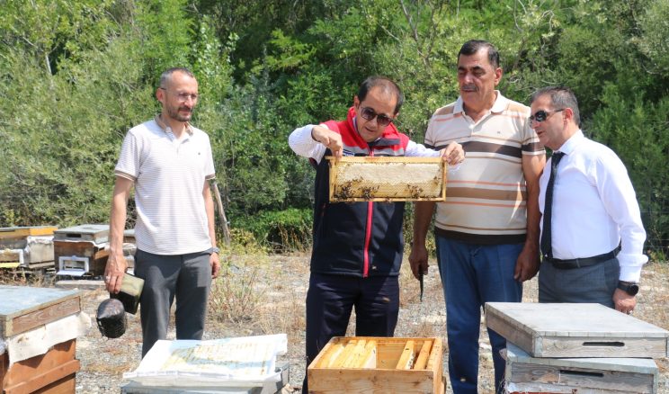 Erzincan’ın 17. Gururu: “Geven Balı” Resmen Tescillendi!