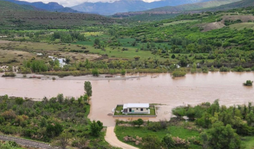 Planlama Fiyatosu: Rafting Tesisi mi, Su Altı Akvaryumu mu?